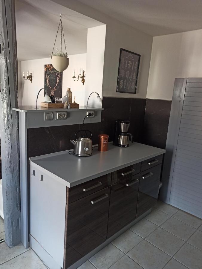 Ferienwohnung "Frieda" Breitenstein エクステリア 写真